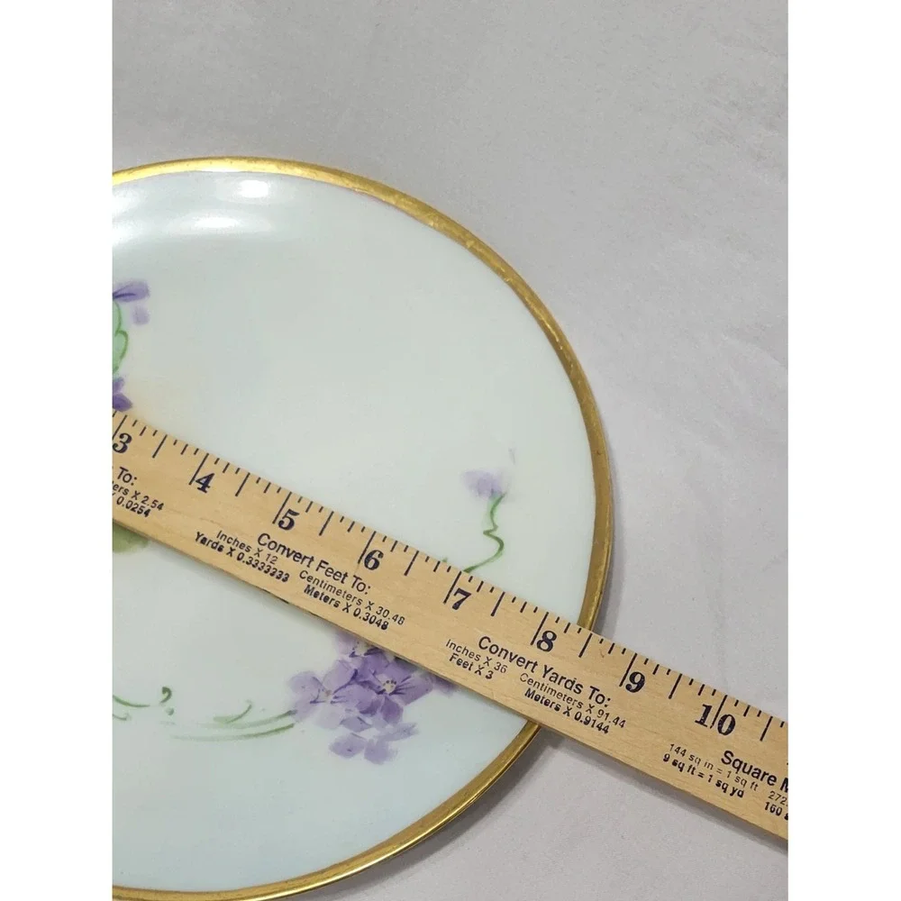 Thomas Sevres Bavaria Porcelain Floral Plate Gold Trim ~8 in Round Decorative